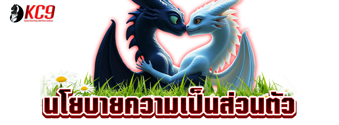นโยบายความเป็นส่วนตัว